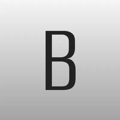 Блиц-Принт, типография, лого-визитка