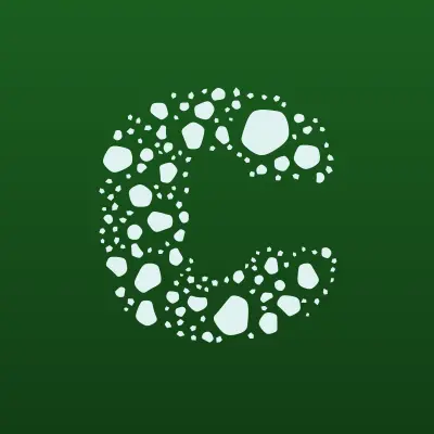 CNI_shcool-Красноярск, учебный центр ногтевого сервиса, лого-визитка